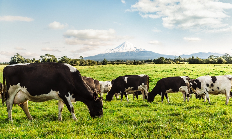 Fonterra